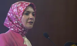 Aile ve Sosyal Hizmetler Bakanı Göktaş'tan kayıp çocuk açıklaması