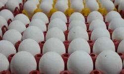 Yumurta Haşlarken Bir Kez Daha Düşünün! Bu Hata Sizi Sağlığınızdan Edebilir