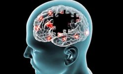 Umut Verici Keşif: Alzheimer Riskini Yüzde 71 Azaltan Gen Bulundu