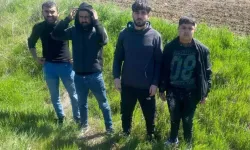 Edirne'de jandarma 4 kaçak göçmeni yakaladı