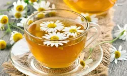 Papatya çayının faydaları nelerdir? Papatya çayı ne işe yarar?