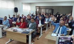 Efeler Belediye Meclisi başkan vekilleri ve encümen üyeleri belli oldu