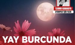 İlknur Karakaya yazdı: Yay Burcunda Çiçek Dolunayı