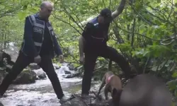 Sopayla döverek öldürüp cansız bedenini uçuruma attılar