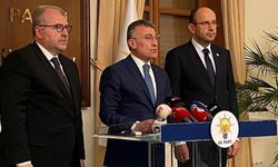 AK Partili Güler'den sokak köpeklerine ilişkin açıklama