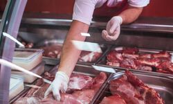 Et ve Süt Kurumu'nun ithal ettiği 20 ton ette çıkan salmonella bakterisi için taraflar ne diyor?