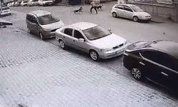 İncirliova’da işe giderken sokak köpeklerinin saldırısına uğradı