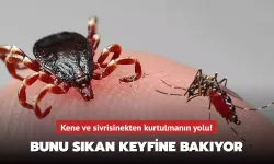 Çözümü belli oldu: Bunu sıkan keyfine bakıyor! Kene ve sivrisinekten kurtulmanın yolu