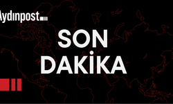 Son dakika... AK Parti düğmeye bastı: Sahipsiz sokak hayvanları uyutulacak