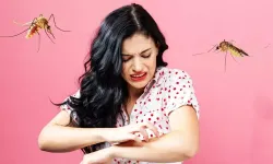 Sivrisinek kaşıntısını önlemenin 2 basit yolu! Meğer boşuna çile çekiyormuşuz...