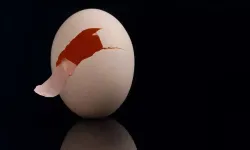 Yumurta böyleyse tüketmeyin! İşte bozuk olduğunu anlamanın yolları