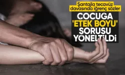 Türkiye'yi dehşete düşüren çocuğa tecavüz davasında 'etek boyu' sorusu