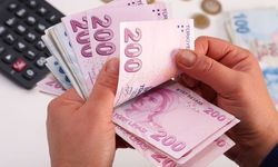 TL mevduat faizinde sınırlı gerileme