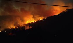 Bakan Yumaklı: Kuşadası’ndaki orman yangını kontrol altında