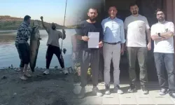 24 kiloluk yayın balığı yakalayınca sevinmişlerdi... 'Bedelini ağır ödedik'