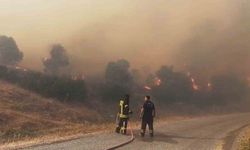 Çine'de orman yangını