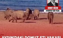 Ahmet Gözen yazdı: Aydın'daki domuz eti vakası şehrin imajını yerle bir etti