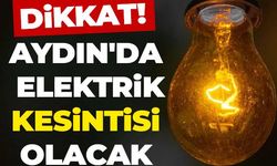 Didim ve Kuşadası'nda elektrik kesintisi olacak