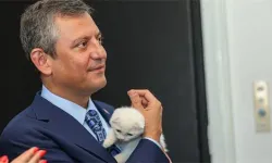 Özgür Özel'den 'cins kedi' tepkisi
