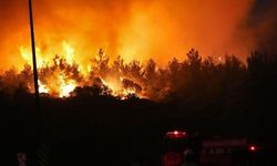 Türkiye genelinde 30'u kırsal orman dışı olmak üzere 44 adet yangın çıktı