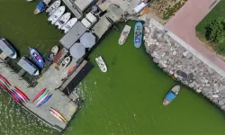 İzmir'de plankton patlaması denizin rengini değiştirdi