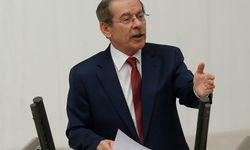 Abdüllatif Şener'in oğlu, anneannesini vurarak öldürdü