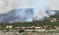 İzmir, Manisa ve Kahramanmaraşta orman yangını: Ekipler müdahale ediyor