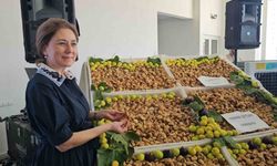 Nazilli'de sezonun ilk kuru inciri 600 TL