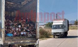 Aydın'da şok eden görüntü: Kemik dolu kamyonet terk edildi