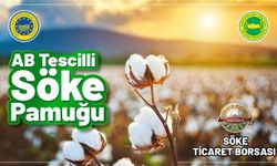 Söke Pamuğu, AB tarafından tescillendi