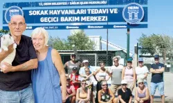 Didim'de sokak köpeklerine yeni hayat!