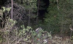 Bozdoğan'da traktör dereye yuvarlandı:1 ölü
