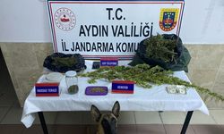 Nazilli’de uyuşturucudan gözaltı