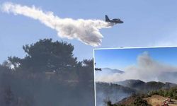 Muğla'nın Dalaman ve Menteşe ilçelerinde orman yangınlarına müdahale sürüyor