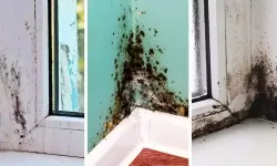 Keşke daha önce bilseydim dedirtiyor! Küf ve rutubetten kurtulmanın basit yolu