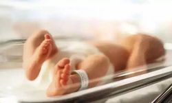 ‘Yenidoğan çetesi’ Sakarya’ya sıçradı! Açıklama geldi: Denetimler devam ediyor