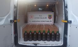 Yine Aydın Yine Sahte Zeytinyağı