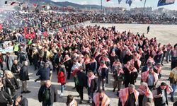 Aydın'da Geleneksel Deve Güreşi Coşkusu
