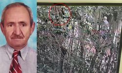 Esenyurt'ta Şiddet Sonucu Ölüm: 79 Yaşındaki Adam Hayatını Kaybetti