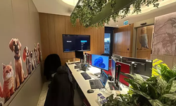 THY İstanbul Havalimanı'na Pet Lounge Açtı