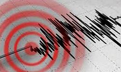 Muğla'da Peş Peşe Korkutan Depremler