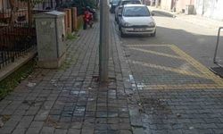 Efeler Belediyesi Yedi Eylül Mahallesi’ndeki Çöpleri Temizledi