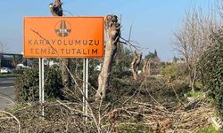 Efeler'de Karayollarının Tabelası Vatandaşları Hayrete Düşürüyor