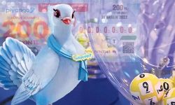 Milli Piyango Sonuçları Açıklandı! İşte Çekiliş Sonuçlarını Öğrenme Ekranı