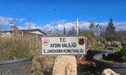 Karacasu'da Jandarmadan Tarihi Eser Baskını