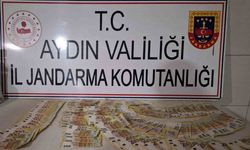 Bozdoğan’da 6 Milyon TL’lik Hırsızlık