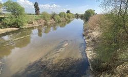 Büyük Menderes Nehri'nde Kuraklık Tehlikesi