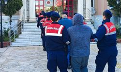 Didim'de Sit Alanında Kaçak Kazı: 12 Gözaltı