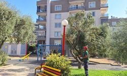 Efeler Belediyesi ilçe genelinde çalışmalarını sürdürüyor