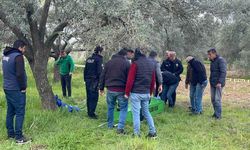 Nazilli'de Zeytin Bahçesinde Cansız Bedeni Bulundu